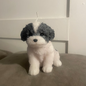 K&ouml;nnte beinhalten: Eine Kerze in Form eines Shih Tzu-Welpen. Der Hund ist wei&szlig; mit schwarzen Markierungen auf Kopf und R&uuml;cken. Er hat eine schwarze Nase und Augen. Ein wei&szlig;er Docht ragt aus der Oberseite der Kerze heraus, die wie ein sitzender Hund geformt ist.