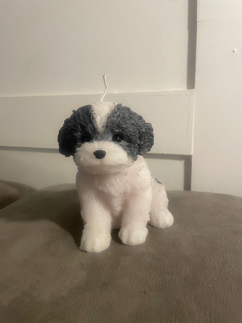 K&ouml;nnte beinhalten: Eine Kerze in Form eines Shih Tzu-Welpen. Der Hund ist wei&szlig; mit schwarzen Markierungen auf Kopf und R&uuml;cken. Er hat eine schwarze Nase und Augen. Ein wei&szlig;er Docht ragt aus der Oberseite der Kerze heraus, die wie ein sitzender Hund geformt ist.