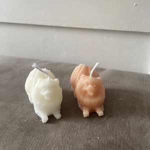 May include: Two small dog-shaped candles, one white and one light brown, with a wick sticking out of the top of each. The candles are sitting on a grey textured surface.