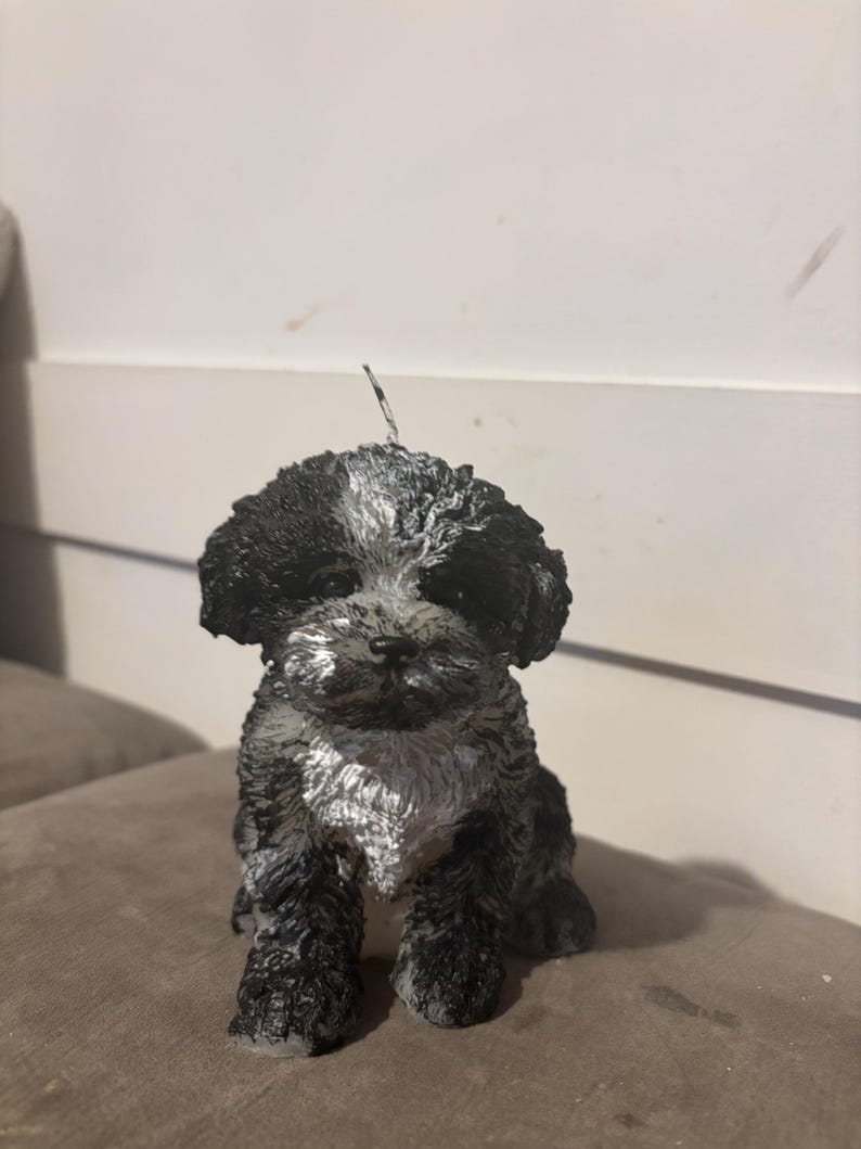 K&ouml;nnte beinhalten: Eine schwarz-silberne Hundekerze. Die Kerze hat ein strukturiertes, flauschiges Aussehen mit silberner Brust und Gesicht. Der Hund sitzt aufrecht, mit sichtbaren Vorderpfoten. Ein einzelner Docht ragt aus dem oberen Teil des Hundekopfes heraus.