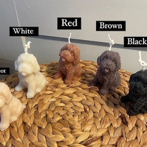 Może przedstawiać: Sześć świec w kształcie psa w różnych kolorach, w tym białym, czerwonym, brązowym, czarnym i morelowym. Świece są ułożone na plecionym wiklinowym podłożu.