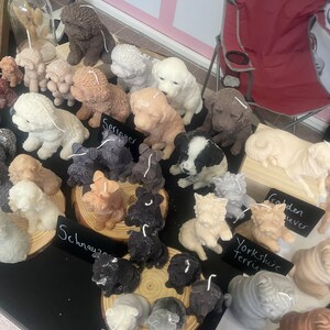 K&ouml;nnte beinhalten: Eine Pr&auml;sentation von hundef&ouml;rmigen Kerzen in verschiedenen Farben, darunter Wei&szlig;, Braun und Schwarz. Die Kerzen sind auf Holzscheiben und einer schwarzen Oberfl&auml;che angeordnet. Etiketten kennzeichnen Hunderassen wie Springer, Schnauzer und Yorkshire Terrier.