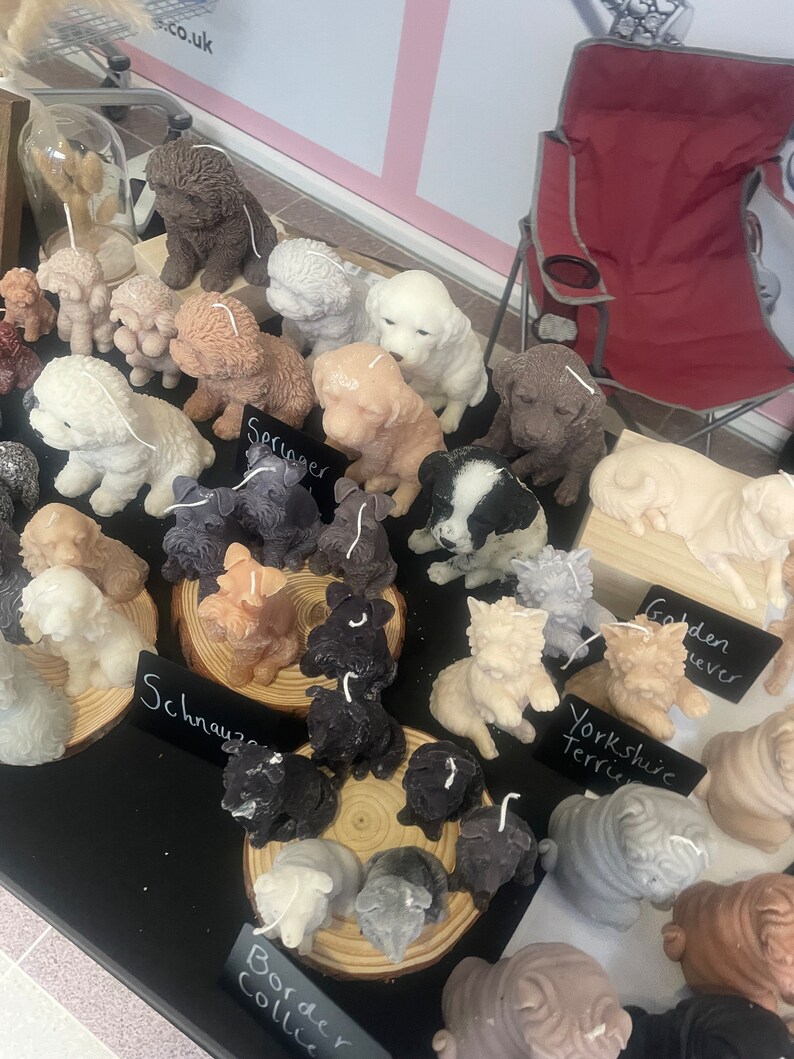 K&ouml;nnte beinhalten: Eine Pr&auml;sentation von hundef&ouml;rmigen Kerzen in verschiedenen Farben, darunter Wei&szlig;, Braun und Schwarz. Die Kerzen sind auf Holzscheiben und einer schwarzen Oberfl&auml;che angeordnet. Etiketten kennzeichnen Hunderassen wie Springer, Schnauzer und Yorkshire Terrier.