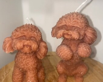 Poochon / Bichon Frise Kerze