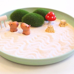 CAPYBARA Mini Zen Garten | Gemütliches Dekor Mini Tiere Abschlussfeier Geschenk Sandkasten Fidget Spielzeug Sensorisches Geschenk für Capybara-Liebhaber Förderung Geschenk Neuer Job