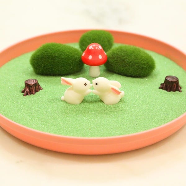 CONIGLIETTI Giardino Zen della prateria / Coniglio Coniglio Amanti Regalo Coppie Decorazione Scrivania Ufficio Simpatici Mini Animali Regali Veterinario Decorazione Scrivania Accogliente