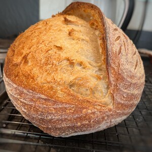 A well risen open sourdough, well formed ear and decorative sourdough decoration - corn ear pattern.