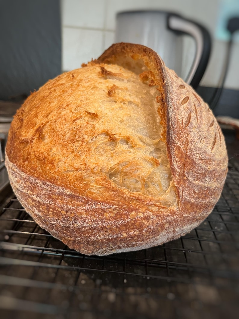 A well risen open sourdough, well formed ear and decorative sourdough decoration - corn ear pattern.