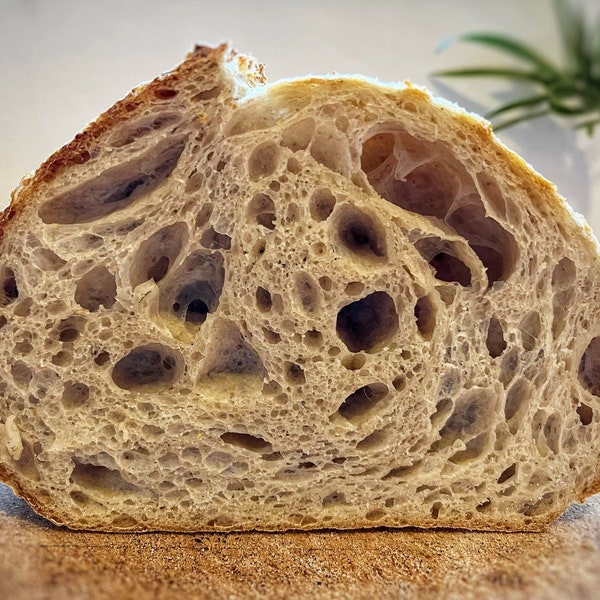 Gold Winner - Bake International 2023. Organic Sourdough Starter. Always Fresh, Never Dehydrated. Award Winning Recipe Included.