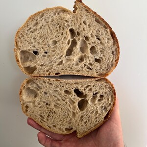perfectly proved sourdough, demonstrating a well fermented open crumb