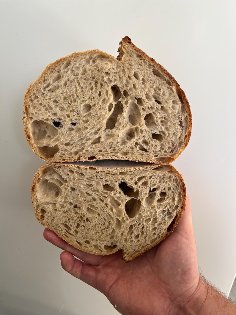 perfectly proved sourdough, demonstrating a well fermented open crumb