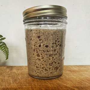 May include: A glass jar with a gold lid filled with a brown, bubbly sourdough starter.