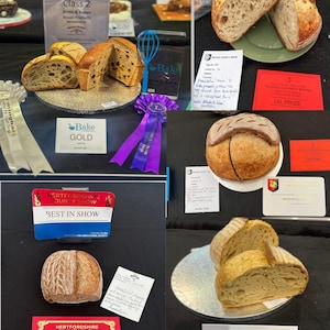 Gold Award Sourdough Starter. Organic, Fresh, Never Dehydrated. Includes Sourdough Recipe. Gift Idea for Teachers. Summer Holiday Activities afbeelding 2