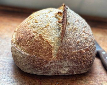 Organic Sourdough Starter. Award Winning Recipe Included. Fresh, Mature, Handmade. Made in the UK. Perfect Gift Idea for Teachers.