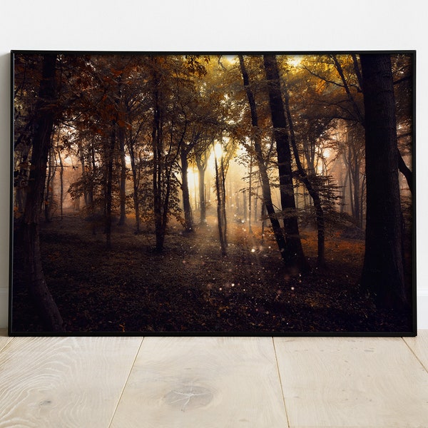 Photo de forêt mystique| Art mural photo de forêt dans la brume | photo imprimable paysage féérique | Photographie paysage | Décoration