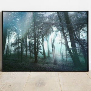 Mystical Forest Photo | Misty Forest Photo Wall Art | Printable Fairytale Landscape Photo | Landscape Photography