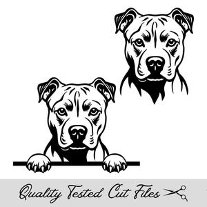 Pit Bull Peeking Svg, American Pit Bull Terrier Svg, Eps, Dxf, Png e Jpg Pacchetto di download digitale, per Cricut Cutting e Laser Engraving