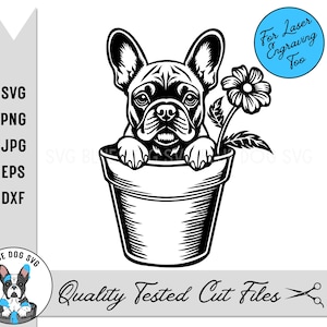 Bulldogue Francês Svg, Eps, Dxf, Png e Jpg Digital Download, Frenchie Espreitando Svg, Cachorro Em Um Vaso De Flores, Corte Cricut e Gravação A Laser