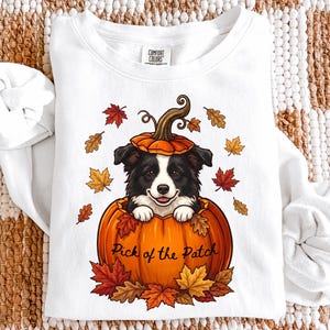 May include: A white long-sleeve sweatshirt featuring a graphic of a black and white dog sitting inside a large orange pumpkin with a pumpkin lid on its head. The text Pick of the Patch is printed on the pumpkin, surrounded by colorful autumn leaves.