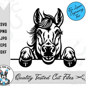 Pferd späht SVG, Eps, Dxf, Png und Jpg digitaler Download, Pony Clip Art, Pony späht SVG, Dateien für Cricut Schneiden und Laser Gravur