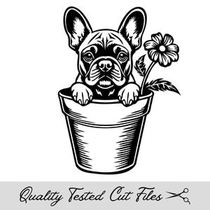 Bouledogue français Svg, Eps, Dxf, Png et Jpg en téléchargement numérique, Frenchie Peeking Svg, chien dans un pot de fleur, découpe Cricut et gravure laser