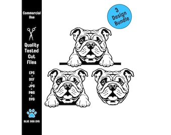 British Bulldog Svg, Eps, Dxf, Png, and Jpg  Bundle: Peeking, Head, Laying (Digital Download)