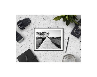 May include: A black and white photograph of a wooden path leading through a field, framed in a black frame. The photo is displayed on a gray surface with a camera, a notebook, a pen, and a plant.