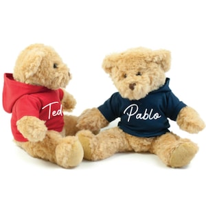 May include: Two plush teddy bears wearing hooded sweatshirts. The bear on the left is wearing a red hooded sweatshirt with the name "Ted" embroidered on it. The bear on the right is wearing a blue hooded sweatshirt with the name "Pablo" embroidered on it.