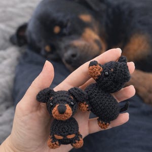 Op de afbeelding: Twee kleine, zwart-bruine gehaakte hondenbeeldjes. De honden hebben bruine poten, oren en snuiten. Op de achtergrond is een slapende Rottweiler-hond te zien.