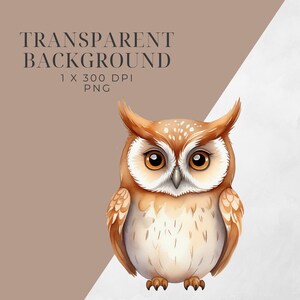 Watercolor Owl Clip Art, Whimsical Owl PNG, Watercolour Woodland Animal ...