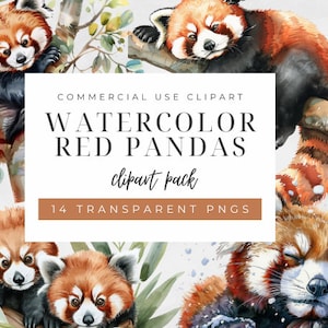 Pacote de clipart de panda vermelho em aquarela, PNG de animal fofo, clipart de vida selvagem, gráficos de floresta natural, uso comercial, criação de cartões, download digital