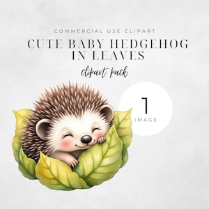 Clip art de ouriço bebê fofo, clipart de berçário de ouriço, animal adorável da floresta PNG, animal com folhas, decoração de chá de bebê de menina, bebê menino