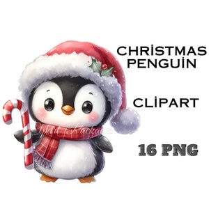 Pingüino de Navidad Clipart 16 PNG Paquete / Pingüino lindo / Clipart de invierno / Pingüino bebé / Pingüinos navideños / Clip Art de Navidad / Artesanía de papel