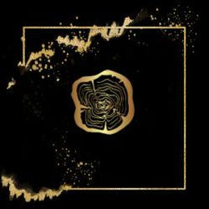 Pode incluir: Um design dourado de an&eacute;is de &aacute;rvore est&aacute; centrado em um fundo preto, emoldurado por um quadrado dourado. Salpicos e pinceladas douradas acentuam os cantos e as bordas, criando uma composi&ccedil;&atilde;o abstrata e art&iacute;stica.
