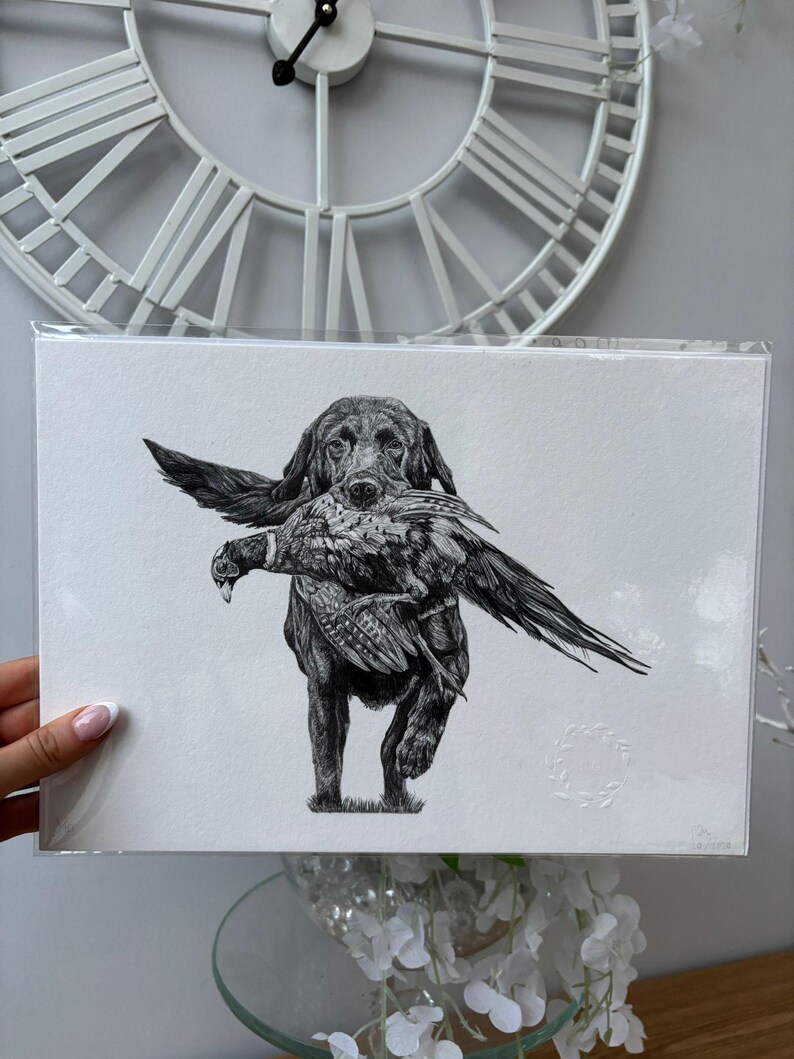 K&ouml;nnte beinhalten: Schwarz-Wei&szlig;-Illustration eines Hundes, der ein Fasan tr&auml;gt. Die detaillierte Federzeichnung zeigt den Hund mit dem Vogel im Maul. Das Kunstwerk befindet sich auf wei&szlig;em Papier.