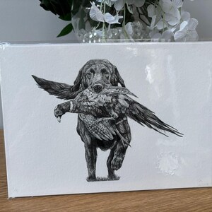 K&ouml;nnte beinhalten: Schwarz-Wei&szlig;-Illustration eines Hundes, der einen Vogel tr&auml;gt. Der Hund ist ein Labrador Retriever, und der Vogel ist ein Fasan. Das Kunstwerk befindet sich auf wei&szlig;em Hintergrund und ist in Klarsichtfolie verpackt.