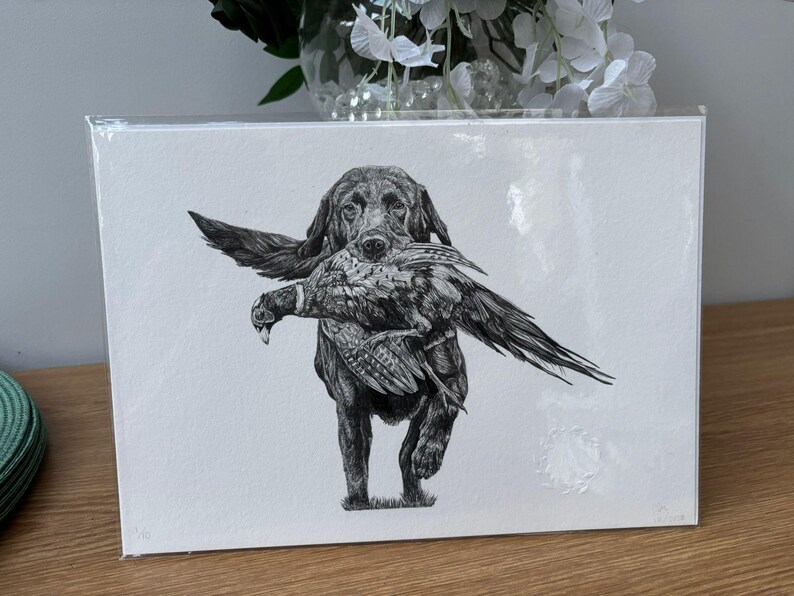 K&ouml;nnte beinhalten: Schwarz-Wei&szlig;-Illustration eines Hundes, der einen Vogel tr&auml;gt. Der Hund ist ein Labrador Retriever, und der Vogel ist ein Fasan. Das Kunstwerk befindet sich auf wei&szlig;em Hintergrund und ist in Klarsichtfolie verpackt.