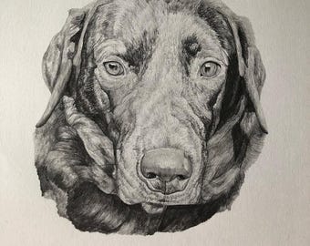 Zeichnung Comission Hand Gezeichnet