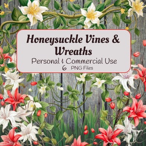 honeysuckle clipart | honeysuckle wreath and vine png | Commercial Use | honeysuckle png | floral honeysuckle design