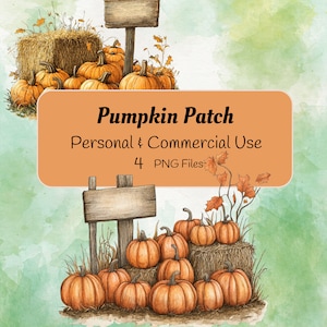 Fall Pumpkin Clipart | Decorative Pumpkins with sign png | Pumpkins Pngs |  Pumpkin Patch Clipart | Cute Pumpkin Clipart | Commercial Use