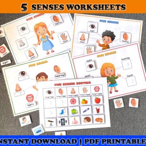 Five Senses Worksheets: Homeschool Learning Activity (PDF Download)