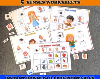 Five Senses Worksheets: Homeschool Learning Activity (PDF Download)