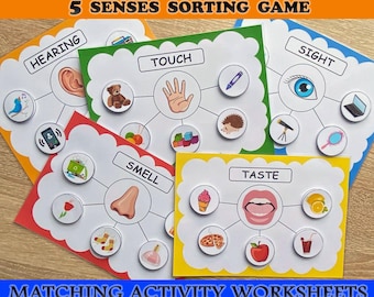 Actividad de clasificación de los cinco sentidos: Hojas de trabajo imprimibles para educación en casa (Descarga PDF tamaño A4)
