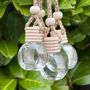 May include: Several clear glass diffuser bottles with wooden tops and beige braided cords hang against a backdrop of green leaves. The bottles are round and empty, designed for essential oils or fragrances. The wooden tops have a layered design.