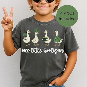 May include: Dark gray t-shirt featuring four cartoon ducks dressed in St. Patrick's Day attire. The ducks are wearing a shamrock, a leprechaun hat, holding a pot of gold, and a green suit. The text "wee little hooligan" is below the ducks.