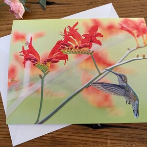May include: A hummingbird with iridescent green and blue feathers hovers near a cluster of red flowers with green stems against a soft green and orange background.
