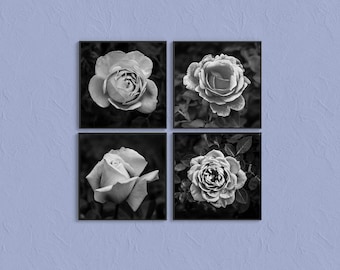 Rose Photography Gallery Wall Set | Giclee Fine Art Prints