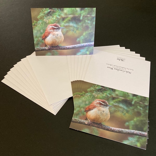 Male Carolina Wren | Blank Photo Notecards | Boxed Set of 8 or Single Card | All-Occasion Greeting Cards | Bird Photos | Gifts for Anyone