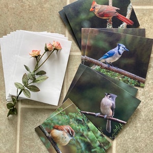 May include: A set of six blank greeting cards featuring different bird species. The cards are printed with a nature theme and feature a cardinal, a blue jay, a chickadee, and a wren. The cards are packaged with white envelopes.