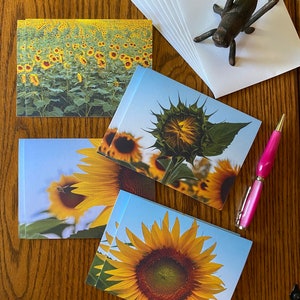 May include: Set of five blank greeting cards featuring sunflower images. The cards are printed on white cardstock and have a matte finish. The images include a field of sunflowers, a close-up of a sunflower, and a sunflower with a bee.
